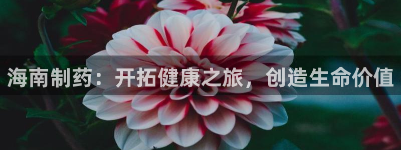 九游会老哥俱乐部必备的交流社区论坛：海南制药：开拓健康之旅，创造生命价值