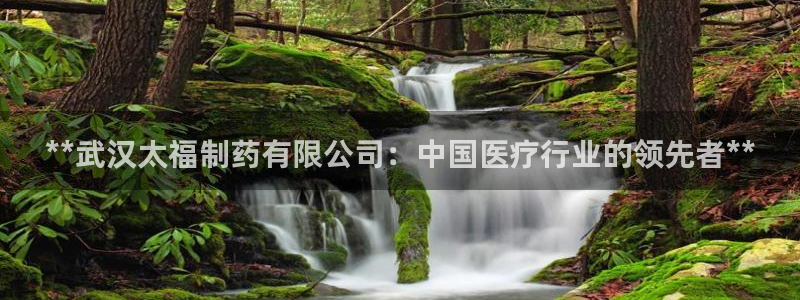 老哥吧九游会：**武汉太福制药有限公司：中国医疗行业的领先者**