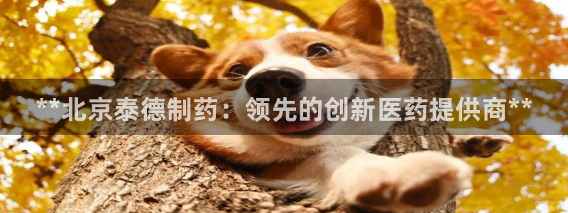 老哥俱乐部是干什么的啊：**北京泰德制药：领先的创新医药提供商**