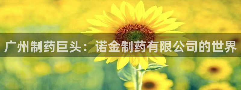9游会老哥：广州制药巨头：诺金制药有限公司的世界