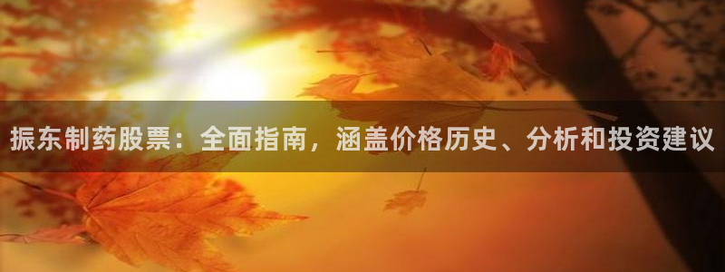 九游会老哥必备的交流社区九：振东制药股票：全面指南，涵盖价格历史、分析和投资建议