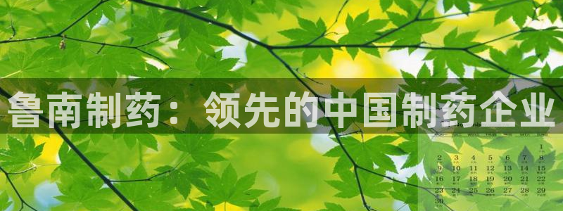 九游会老哥必备的交流社区九：鲁南制药：领先的中国制药企业