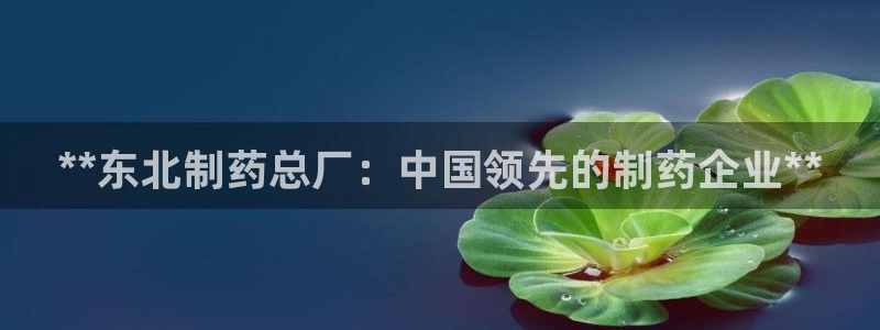 九游会老哥必备的交流社区：**东北制药总厂：中国领先的制药企业**