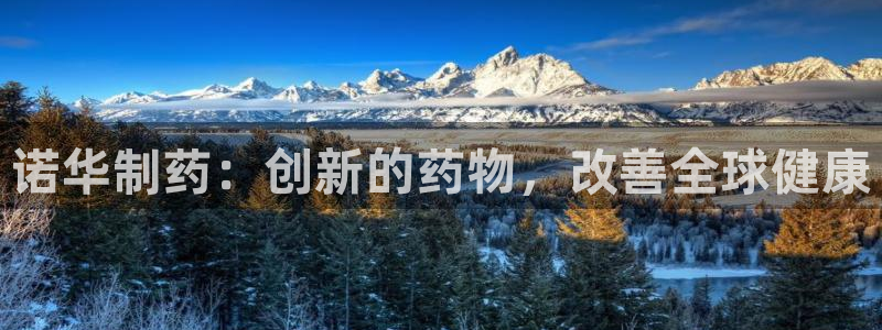 九游老哥俱乐部官网登录网址：诺华制药：创新的药物，改善全球健康