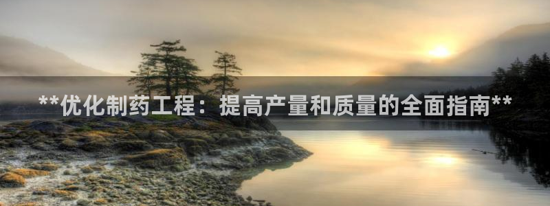 9游会老哥：**优化制药工程：提高产量和质量的全面指南**