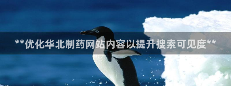 九游老哥俱乐部官网登录：**优化华北制药网站内容以提升搜索可见度**
