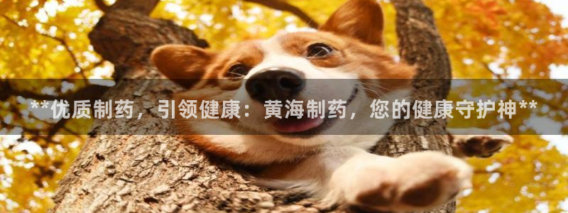 九游老哥俱乐部登录：**优质制药，引领健康：黄海制药，您的健康守护神**