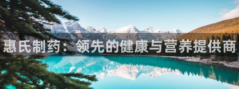 老哥俱乐部是干什么的啊：惠氏制药：领先的健康与营养提供商