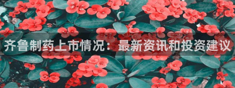 九游会老哥俱乐部官方网站：齐鲁制药上市情况：最新资讯和投资建议