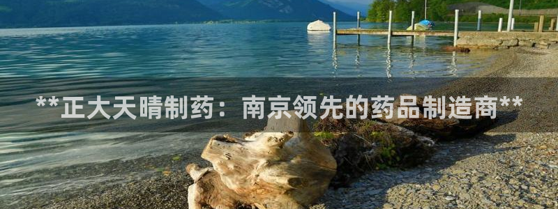 九游会老哥必备的交流社区九：**正大天晴制药：南京领先的药品制造商**