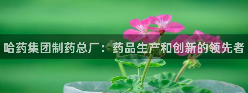九游会老哥俱乐部：哈药集团制药总厂：药品生产和创新的领先者