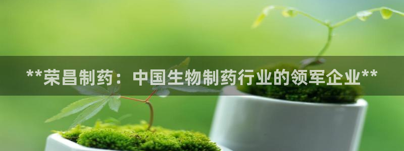 九游老哥俱乐部官网登录入口：**荣昌制药：中国生物制药行业的领军企业**