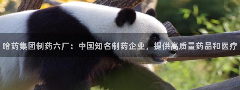 九游会老哥俱乐部官方网站：哈药集团制药六厂：中国知名制药企业，提供高质量药品和医疗