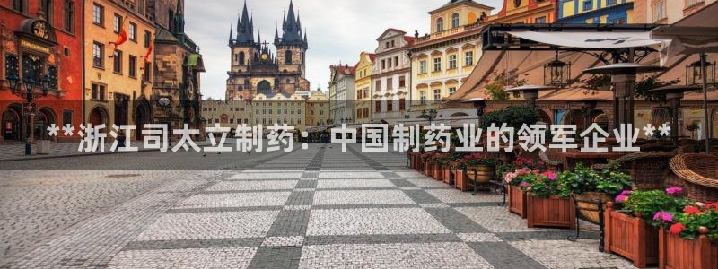 ag九游会老哥：**浙江司太立制药：中国制药业的领军企业**