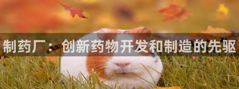 九游会老哥：制药厂：创新药物开发和制造的先驱