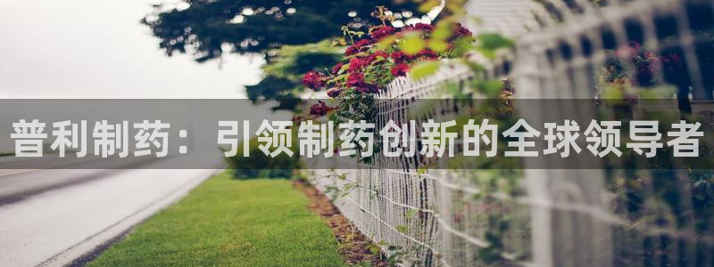 九游会老哥俱乐部官网：普利制药：引领制药创新的全球领导者