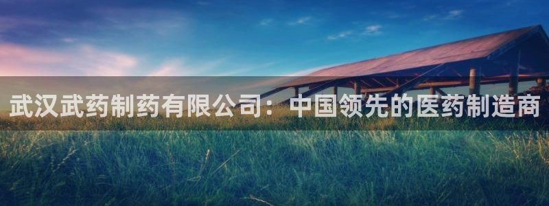 九游会老哥俱乐部社区论坛：武汉武药制药有限公司：中国领先的医药制造商