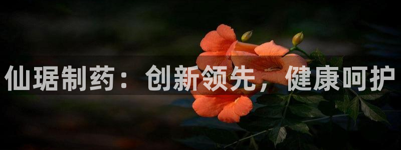 ag九游会老哥俱乐部：仙琚制药：创新领先，健康呵护