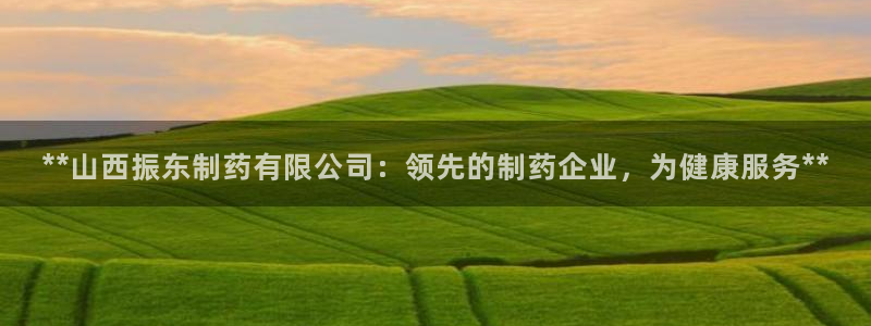 九游会老哥俱乐部论坛版：**山西振东制药有限公司：领先的制药企业，为健康服务**