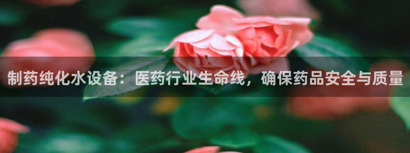 j9九游会老哥俱乐部交流区：制药纯化水设备：医药行业生命线，确保药品安全与质量