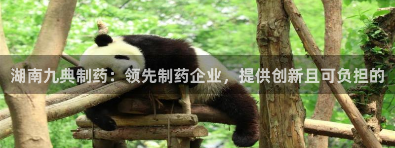 九游老哥俱乐部官网登录：湖南九典制药：领先制药企业，提供创新且可负担的
