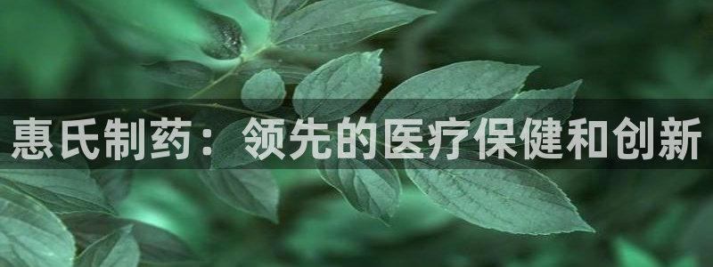 九游老哥俱乐部官网登录：惠氏制药：领先的医疗保健和创新