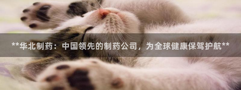 九游老哥俱乐部登录：**华北制药：中国领先的制药公司，为全球健康保驾护航**