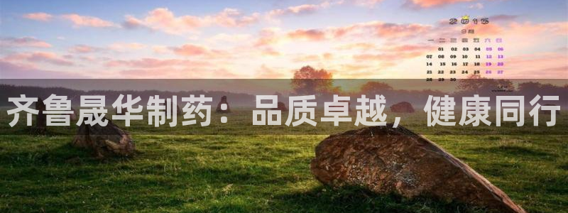 九游会老哥必备的交流社区：齐鲁晟华制药：品质卓越，健康同行