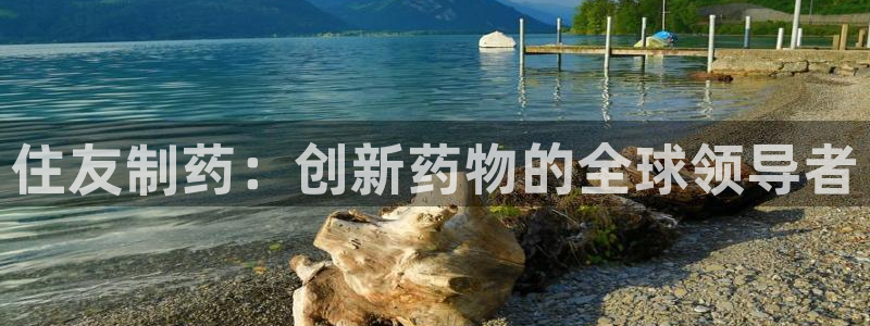 九游会老哥必备的交流社区：住友制药：创新药物的全球领导者