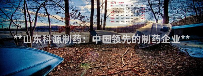 九游老哥俱乐部官网登录：**山东科源制药：中国领先的制药企业**