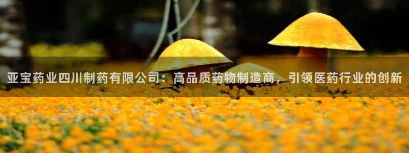 九游会老哥俱乐部：亚宝药业四川制药有限公司：高品质药物制造商，引领医药行业的创新