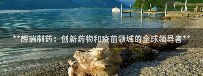 ag九游会老哥俱乐部：**辉瑞制药：创新药物和疫苗领域的全球领导者**