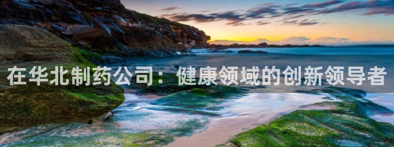 九游会老哥必备的交流社区九：在华北制药公司：健康领域的创新领导者