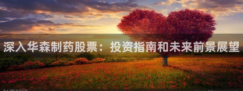 9游会老哥：深入华森制药股票：投资指南和未来前景展望