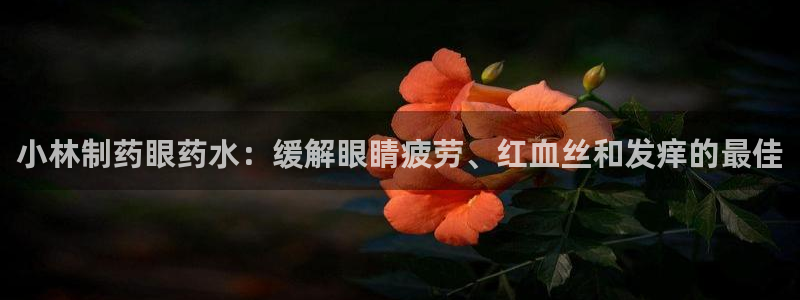 ag九游会老哥：小林制药眼药水：缓解眼睛疲劳、红血丝和发痒的最佳