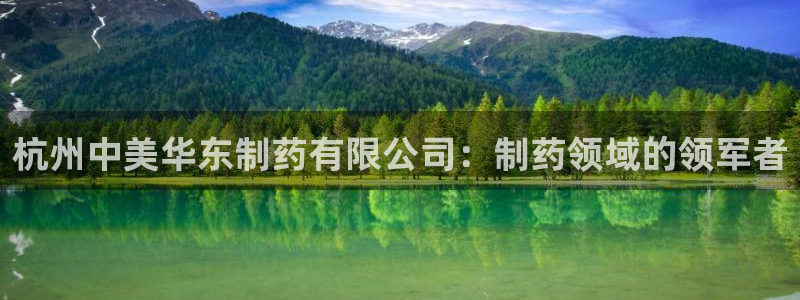 九游会老哥俱乐部交流社区：杭州中美华东制药有限公司：制药领域的领军者
