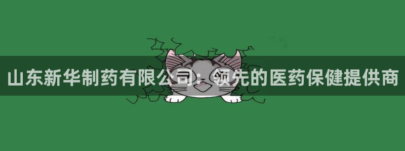 九游会老哥必备的交流社区九：山东新华制药有限公司：领先的医药保健提供商