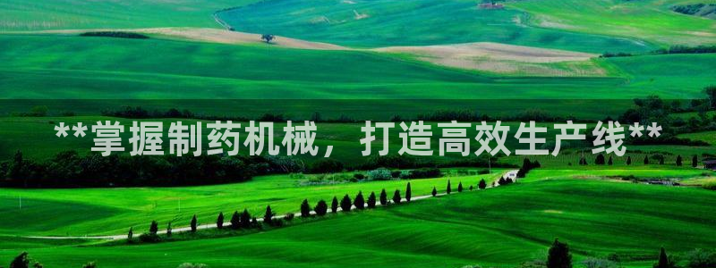 ag九游会老哥俱乐部：**掌握制药机械，打造高效生产线**