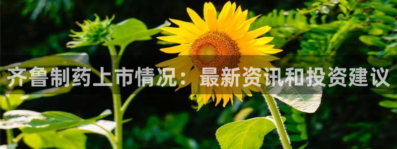 九游会老哥俱乐部：齐鲁制药上市情况：最新资讯和投资建议