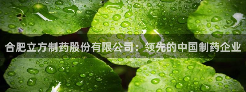 九游会老哥俱乐部官方网站：合肥立方制药股份有限公司：领先的中国制药企业