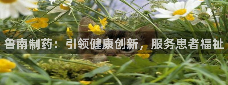 九游会老哥：鲁南制药：引领健康创新，服务患者福祉
