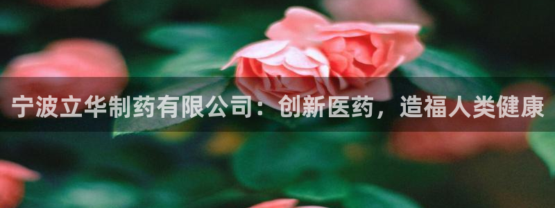 九游会老哥俱乐部官网：宁波立华制药有限公司：创新医药，造福人类健康