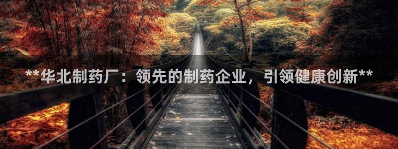 九游老哥俱乐部官网登录：**华北制药厂：领先的制药企业，引领健康创新**