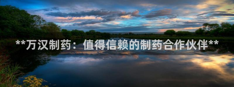 九游老哥俱乐部官网登录网址：**万汉制药：值得信赖的制药合作伙伴**