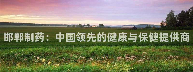 老哥吧九游会：邯郸制药：中国领先的健康与保健提供商