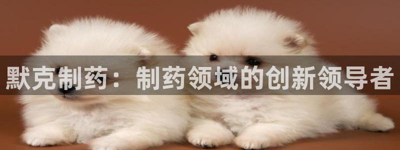 九游会老哥俱乐部交流社区：默克制药：制药领域的创新领导者