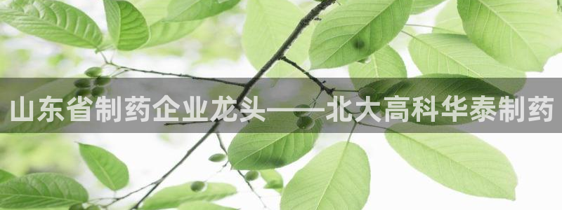 九游会老哥必备的交流社区：山东省制药企业龙头——北大高科华泰制药
