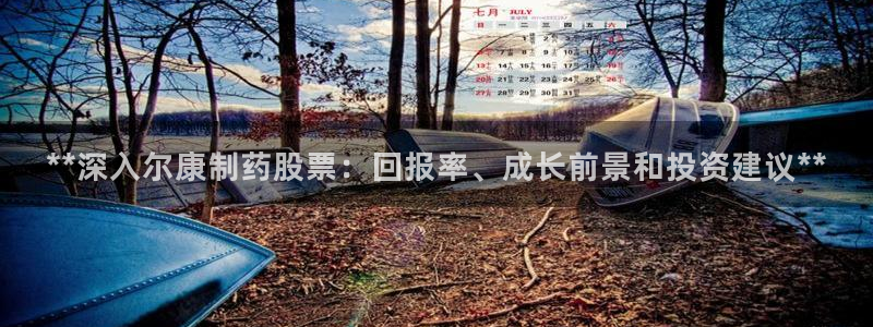 九游会老哥俱乐部必备的交流社区：**深入尔康制药股票：回报率、成长前景和投资建议**