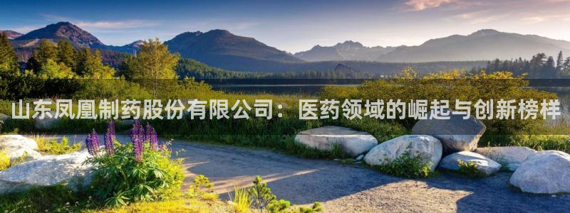 九游会老哥：山东凤凰制药股份有限公司：医药领域的崛起与创新榜样