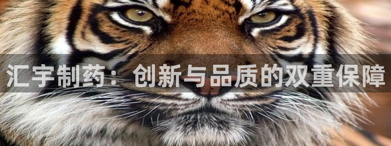 九游会老哥俱乐部：汇宇制药：创新与品质的双重保障